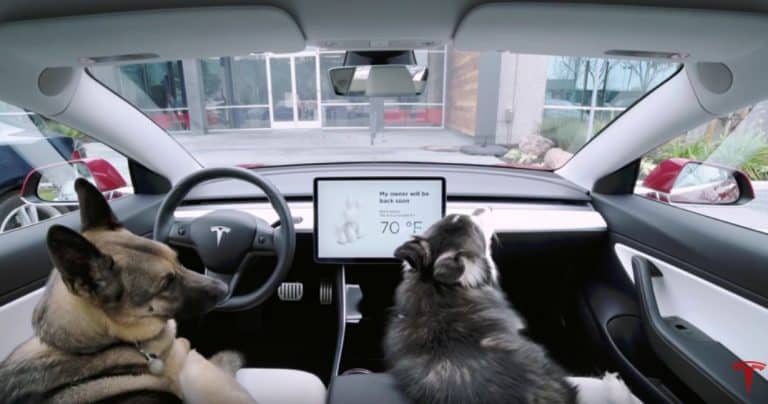 Tesla softwares show why owners love Tesla
