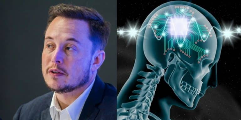 Elon Musk’s Neuralink Project to share progress update this summer