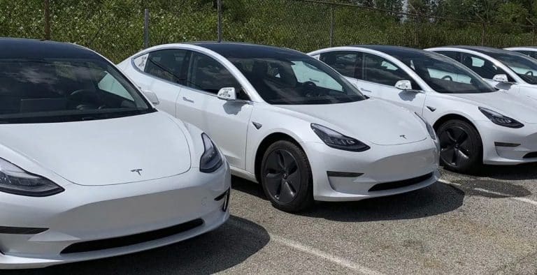 Tesla Robotaxis: Cathie Wood and Sam Korus show us the money