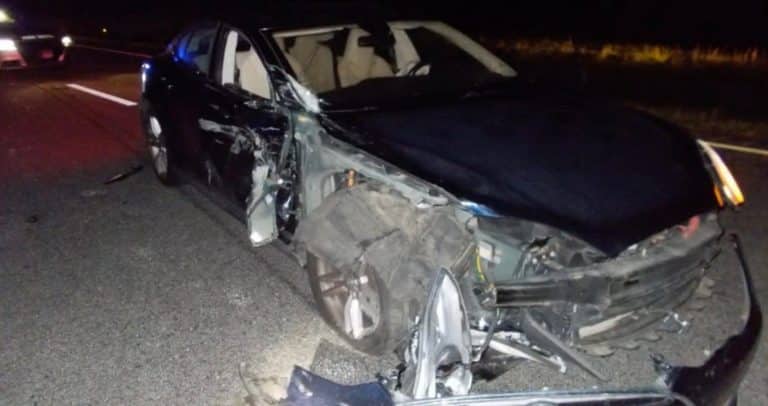 Tesla with Autopilot hits cop car—driver admits he was watching a movie