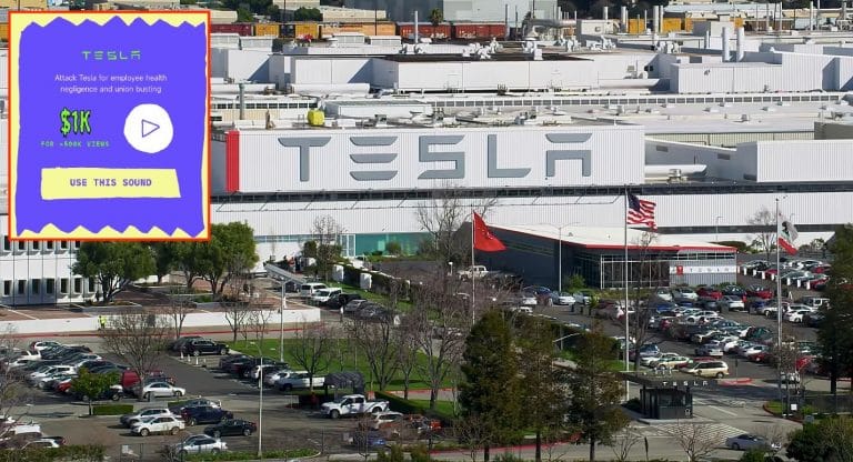 Tiktok users offered $1K to attack Tesla in bizarre ‘takedown’ campaign