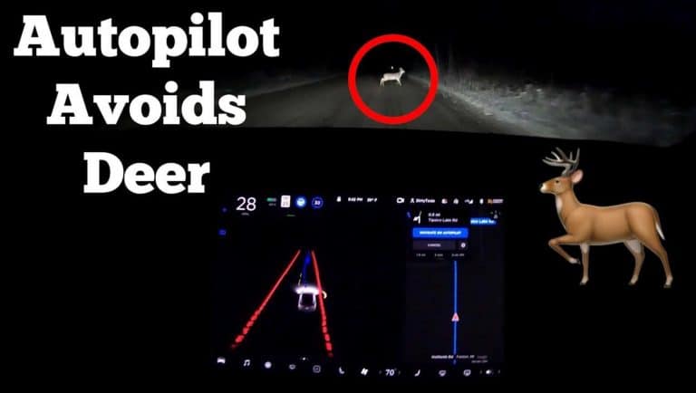 What Can “Tesla Full Self-Driving” Do? Where Does It Struggle? (Video)