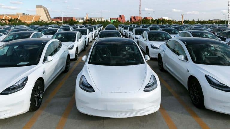 The Tesla ‘Catfish Effect’ and how its affecting China’s local EV manufacturers