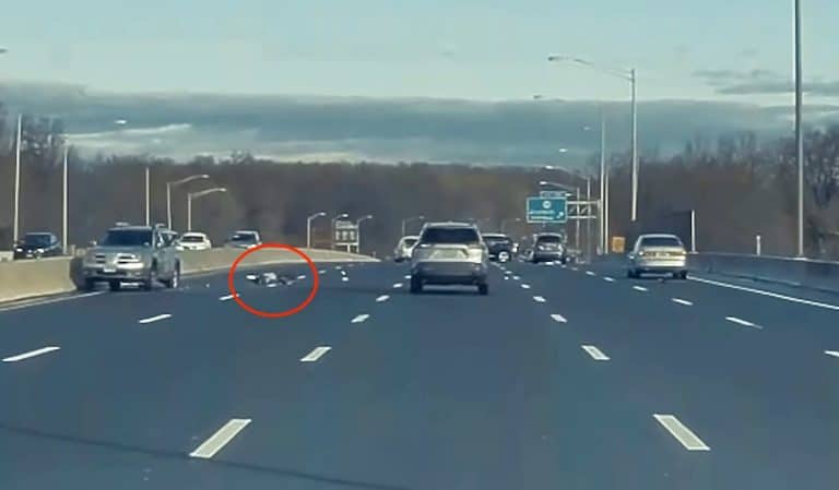 Tesla dashcam captures best of humanity as Model X owner, other drivers, protect woman ejected from car