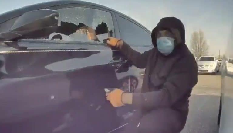 Tesla Sentry Mode captures burglar breaking into nearby car