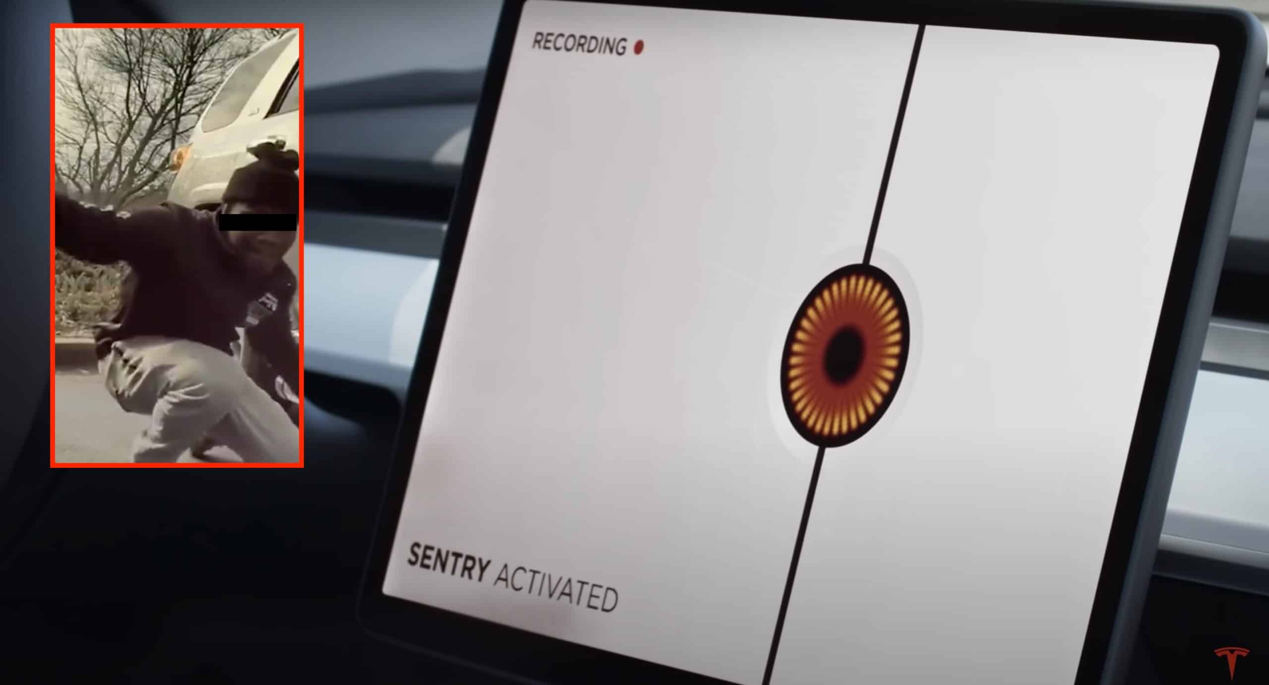 Tesla Cameras Capture Look Of Instant Regret As Would be Thief Realizes