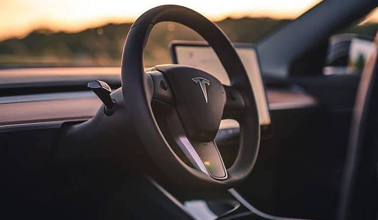 Tesla adds several new languages to UI, including Hindi in preparation for India launch