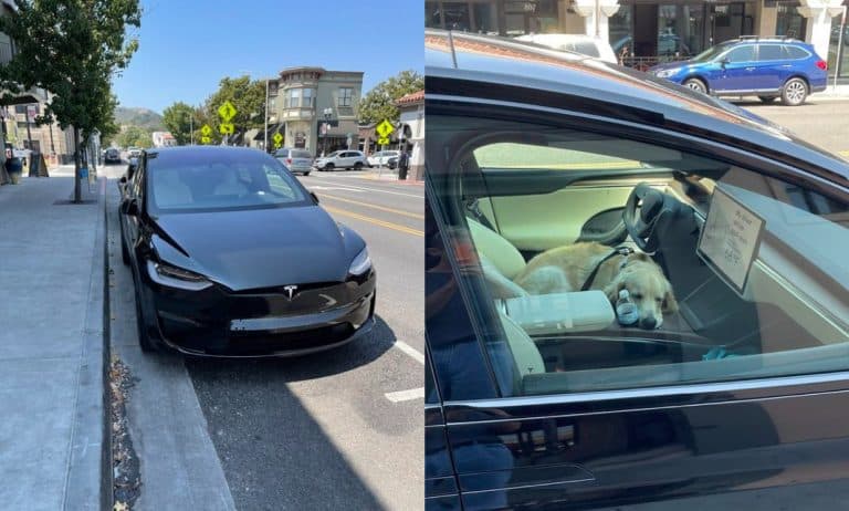 Tesla Model X Plaid spotted testing Dog Mode in the wild
