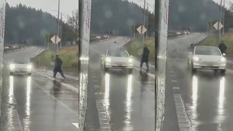Tesla Model 3 windshield survives intentional rock-throwing attack