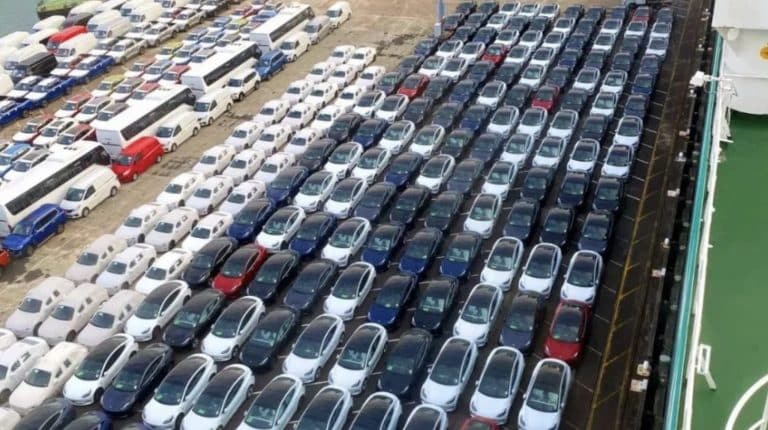 Hundreds of Teslas reported in Auckland port, hinting at even more growth in NZ