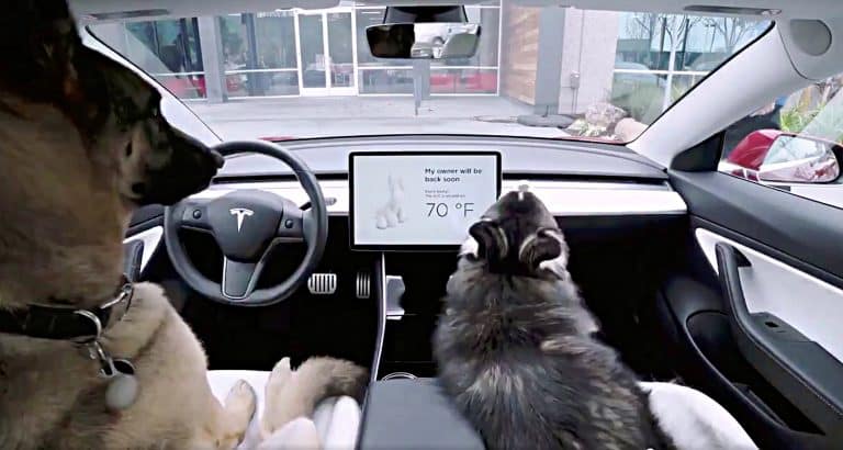 Tesla adds ‘Dog Mode’ and ‘Camp Mode’ activation from Smartphone app in new update