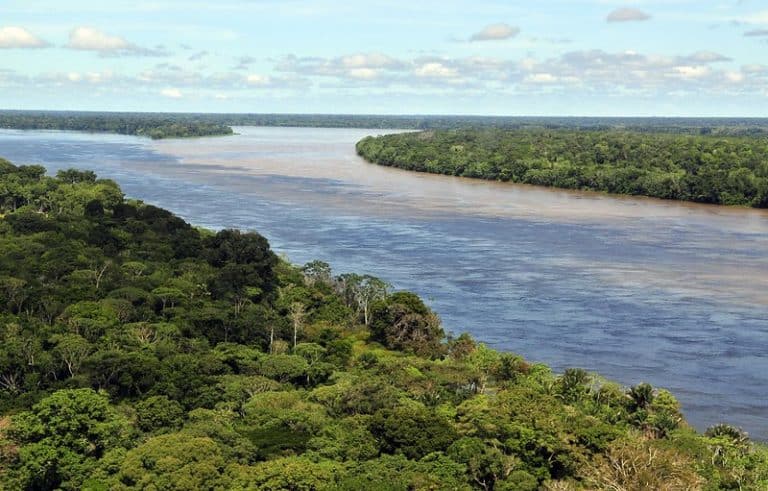 Elon Musk to discuss SpaceX Starlink service for the Amazon with Brazil’s President