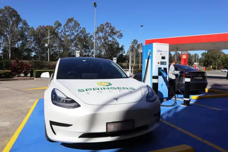 Recharging With Food, Electricity, & EV Advocacy — Options Growing