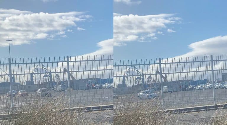 Tesla Model Y and Model 3 units arrive in Wellington, New Zealand