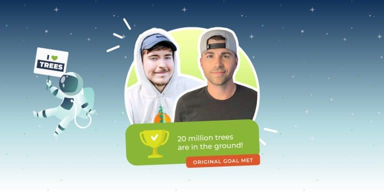 MrBeast’s #TeamTrees campaign planted over 24 million trees