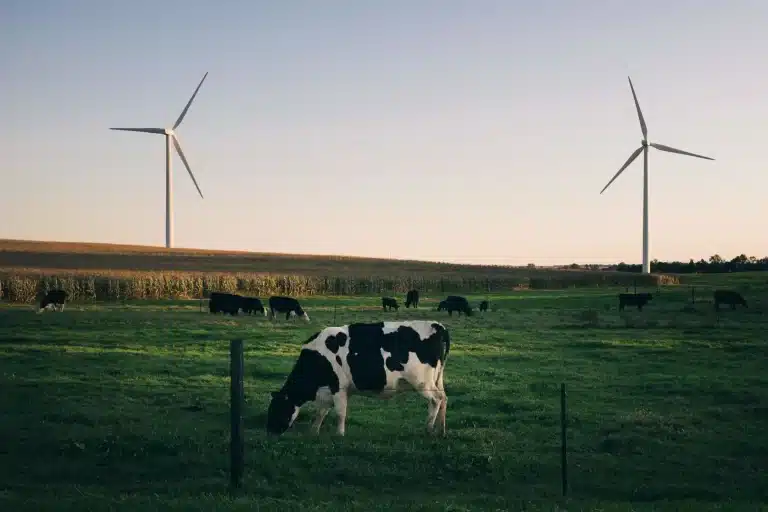 Rivian makes huge investment into renewables to power operations