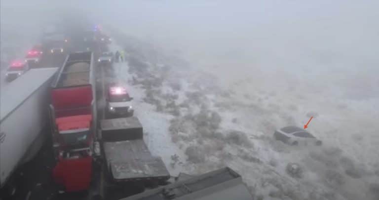 Tesla driver shaken but unharmed after getting involved in 30-car pileup