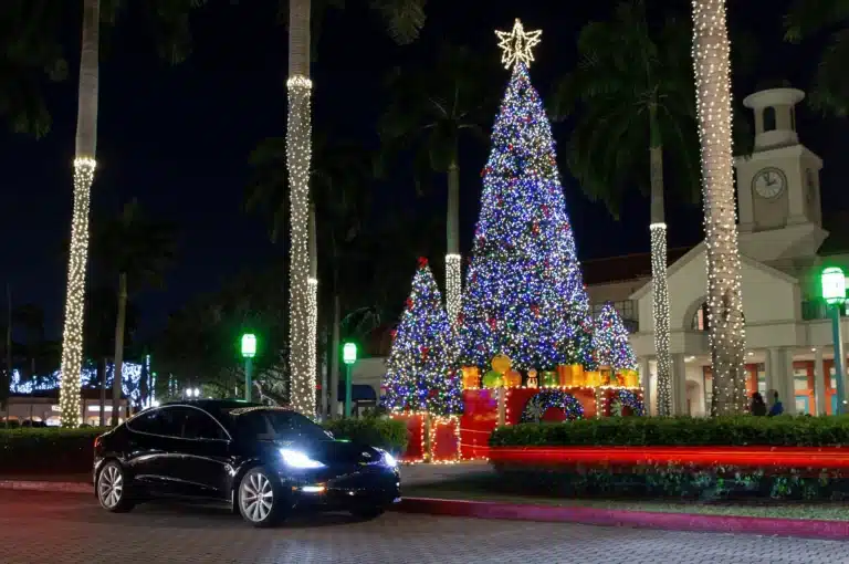 Tesla Owners’ Ultimate Holiday Gift Guide