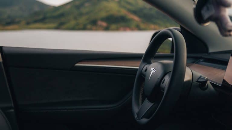 Tesla Model 3 and Model Y will likely not get their stalks deleted