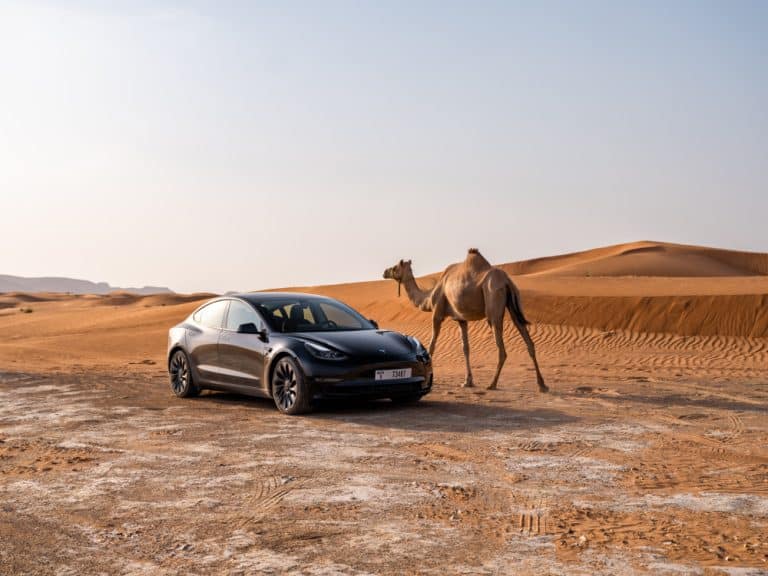 Tesla warns employees Model 3’s cheapest trim could lose $7,500 tax credit