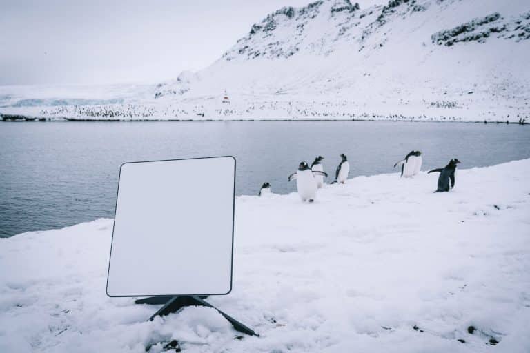 Elon Musk’s Starlink launches global roaming service