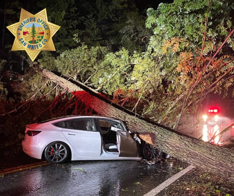 Tesla Model 3 keeps passengers safe after being smashed by fallen tree