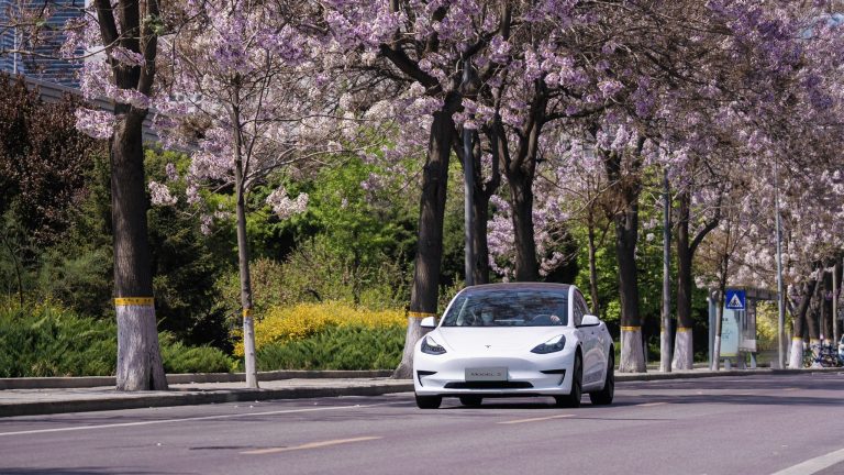 Tesla China sees 12,800 insurance registrations in May’s fourth week