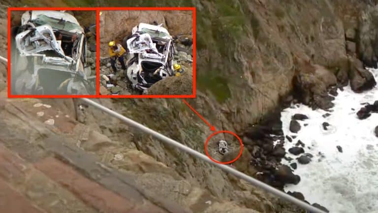 Court records reveal new details on Tesla Model Y that plunged off 250-foot cliff