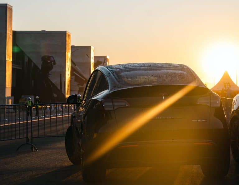 Navigating Environmental Activism: Tesla Giga Berlin’s Forest Occupancy