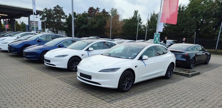 Despite strike, Tesla Sweden witnesses a 55% YoY increase in vehicle deliveries