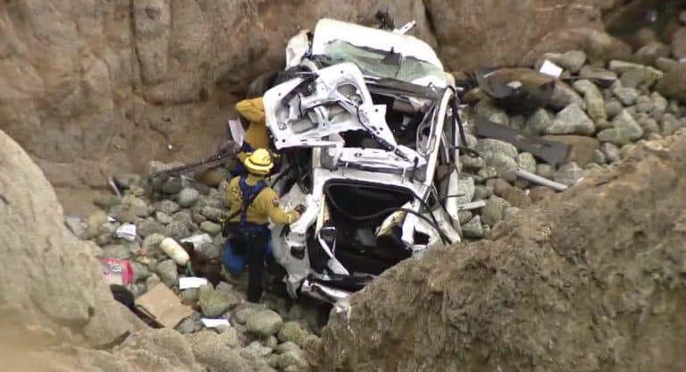 The Tragic Tesla Cliff Plunge: Mental Health in the Spotlight