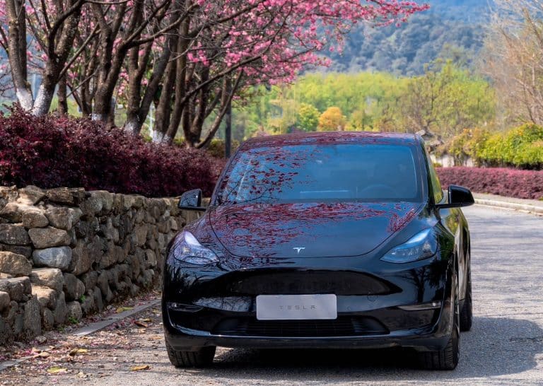 Tesla Surpasses Mercedes-Benz to Become South Korea’s Second-Largest Importer