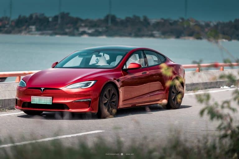 The Unexpected Ally? Analyzing Wedbush Analyst’s Take on a Trump Presidency and Tesla