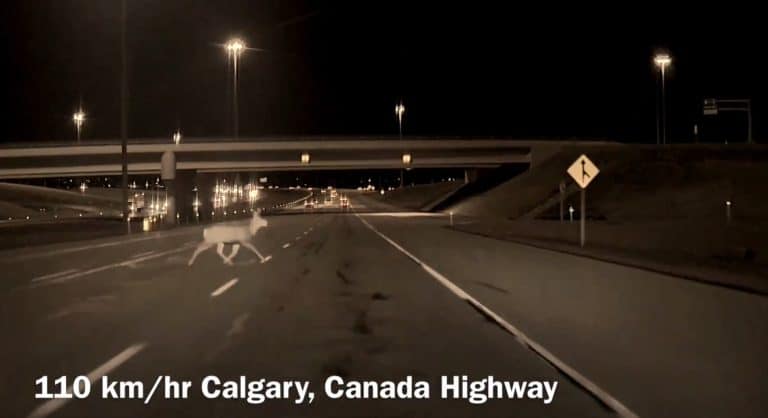 Tesla’s FSD Supervised: A Technological Guardian on the Road