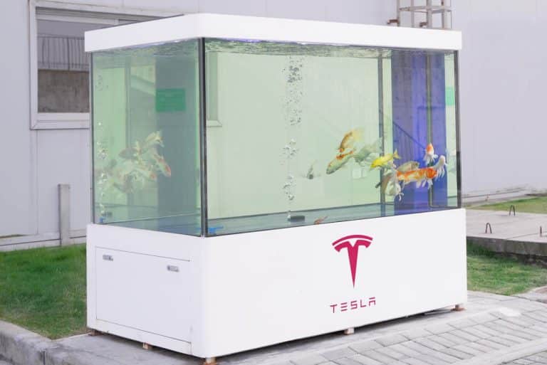 Tesla Giga Shanghai: Leading the Charge in Green Manufacturing