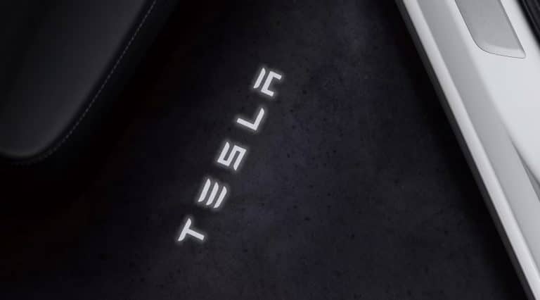 Navigating Controversy: Tesla’s European Challenges and Market Dominance