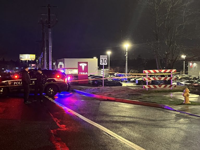 Tesla Showroom Violence in Oregon: Analyzing the Impact and Broader Implications