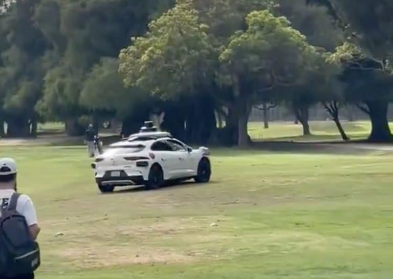 Unexpected Detour: The Viral Waymo Video and Its Implications on Self-Driving Tech Perception