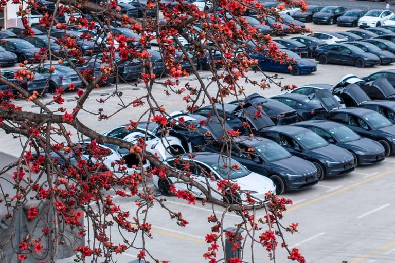 Tesla’s Q1 2026 Shake-Up: Weak Deliveries Mask a Monumental Pivot to Robots and AI